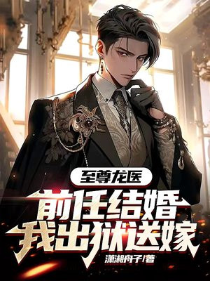 至尊医婿7
