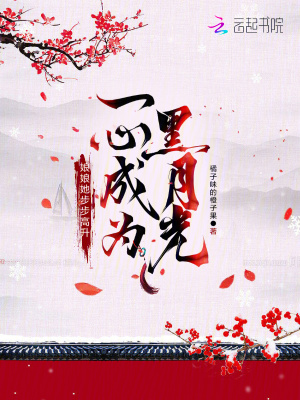 黑月光张碧晨/毛不易
