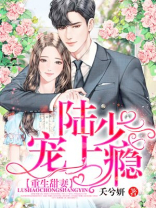 重生甜妻,陆少宠上瘾免费阅读