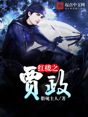 红楼之贾